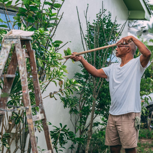 WE LOVE LAUDERDALE ADOPT-A-COMMUNITY